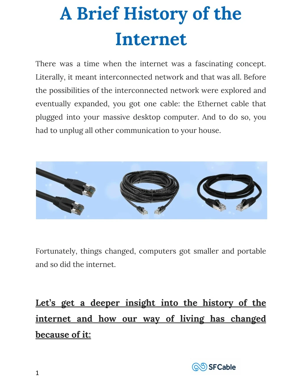 a brief history of the internet