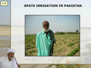 SPATE IRRIGATION IN PAKISTAN