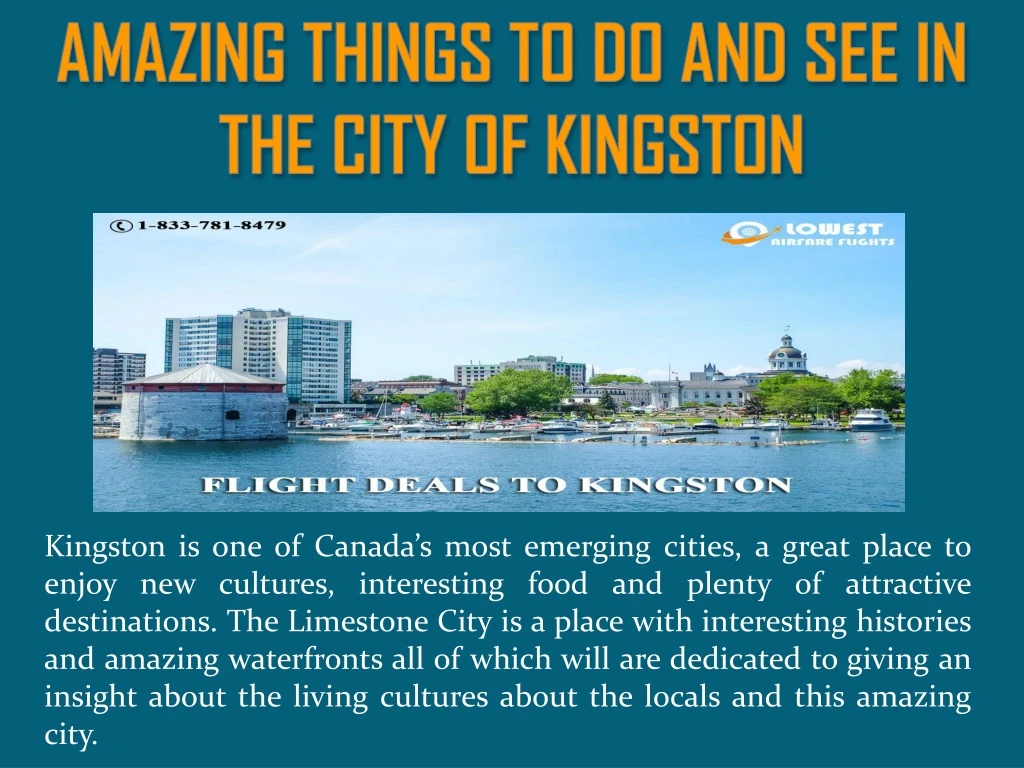 amazing things to do and see in the city