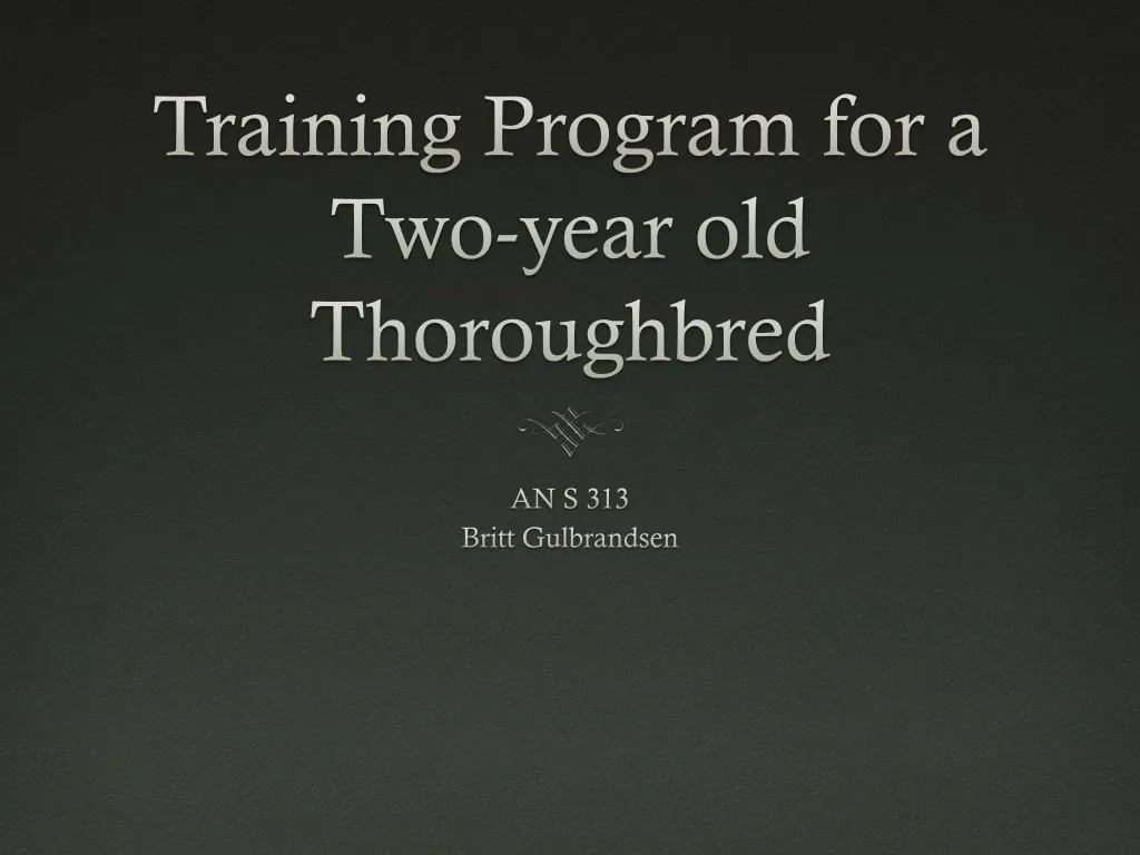 training program for a two year old thoroughbred
