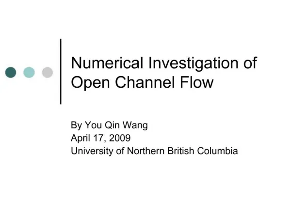 Numerical Investigation of Open Channel Flow