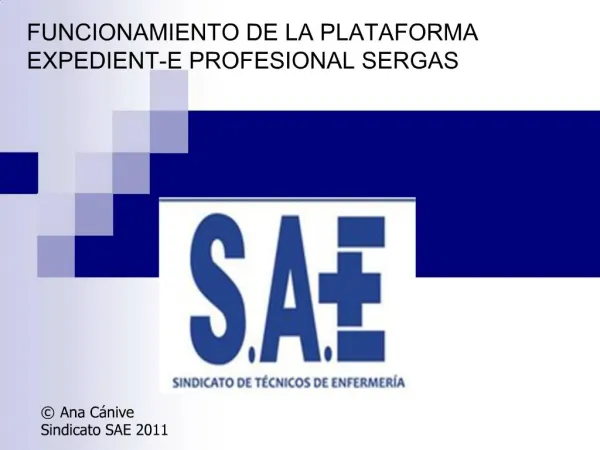 FUNCIONAMIENTO DE LA PLATAFORMA EXPEDIENT-E PROFESIONAL SERGAS