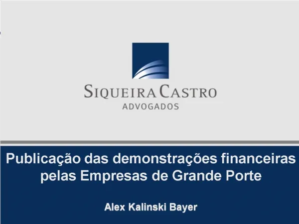 Publica o das demonstra es financeiras pelas Empresas de Grande Porte Alex Kalinski Bayer