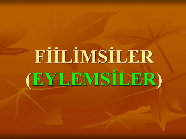 FIILIMSILER EYLEMSILER