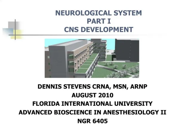 NEUROLOGICAL SYSTEM PART I CNS DEVELOPMENT
