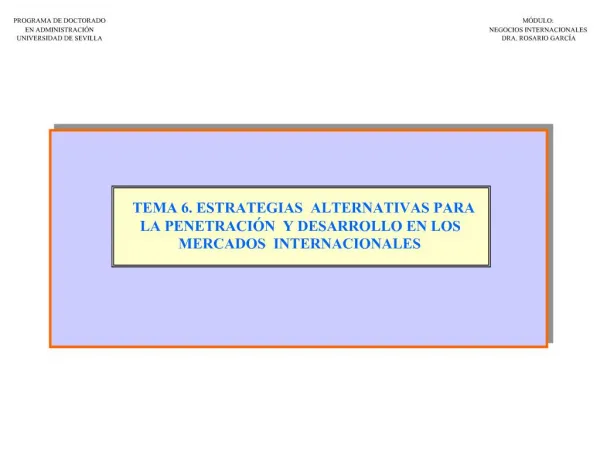 TEMA 6. ESTRATEGIAS ALTERNATIVAS PARA LA PENETRACI N Y DESARROLLO EN LOS MERCADOS INTERNACIONALES