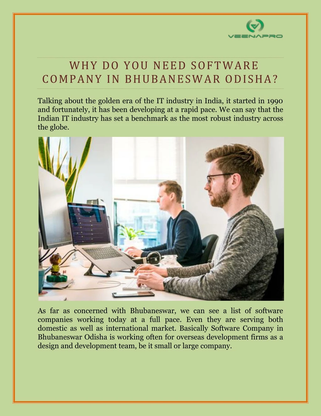why do you need software company in bhubaneswar