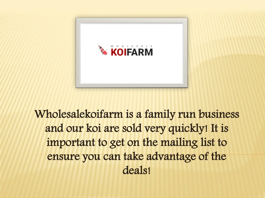 wholesalekoifarm is a family run business