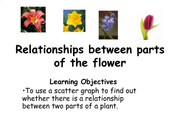 Relationships between parts of the flower