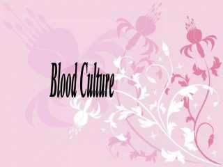 Blood Culture - slide 1
