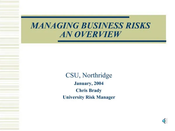 MANAGING BUSINESS RISKS AN OVERVIEW