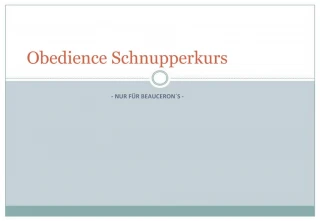 Obedience Schnupperkurs - slide 1