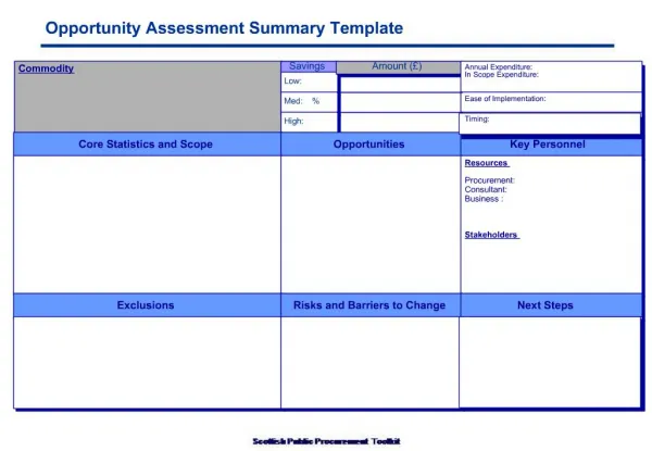 Opportunity Assessment Summary Template