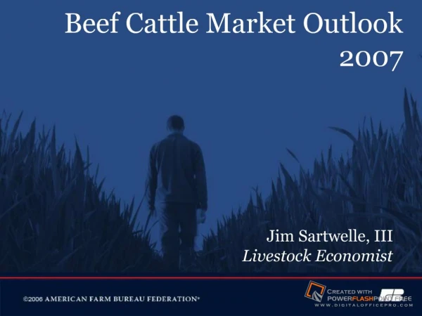 Beef Cattle Market Outlook 2007