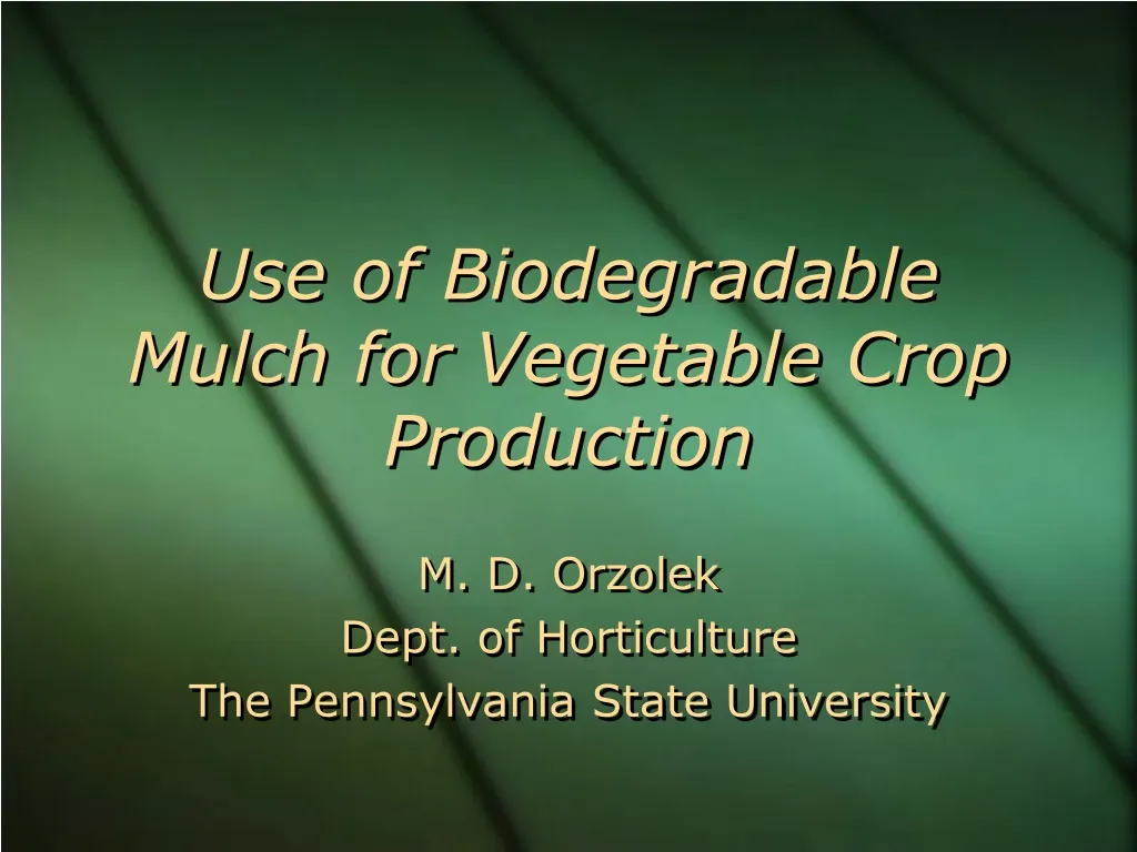 use of biodegradable mulch for vegetable crop production