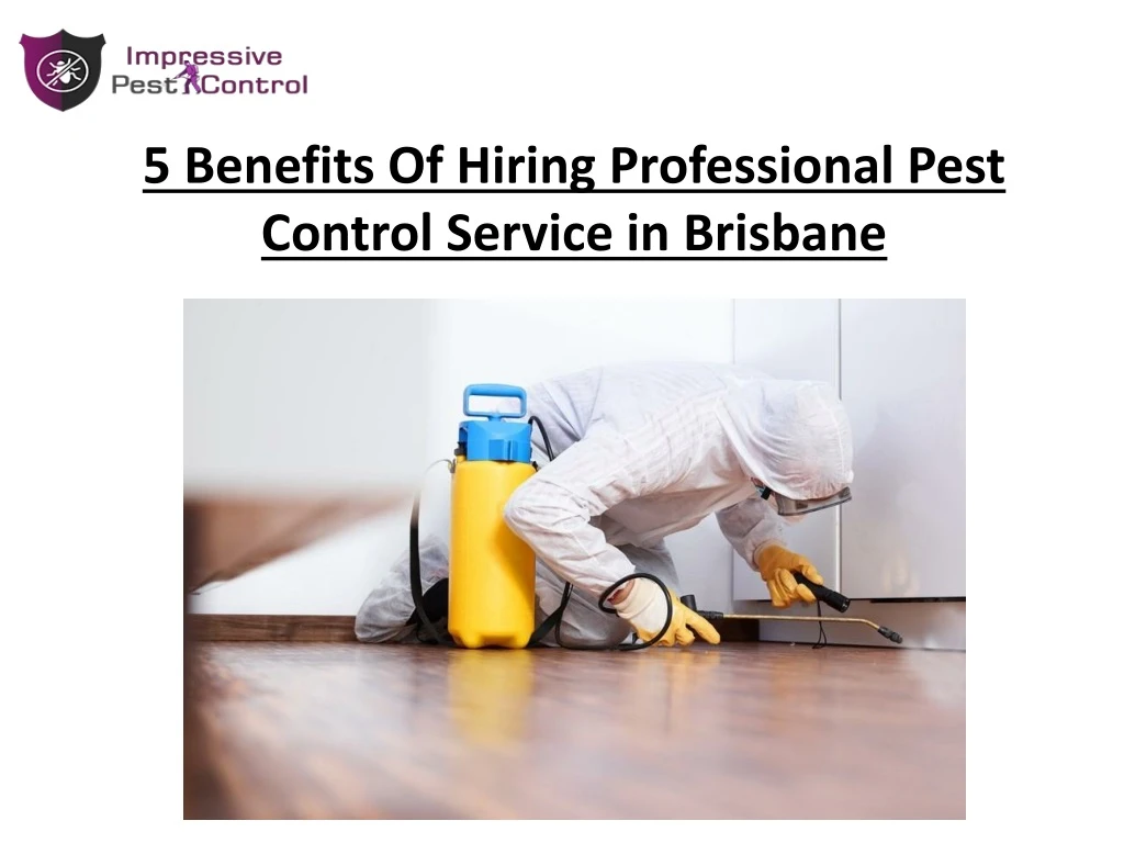 5 benefits of hiring professional pest control service in brisbane