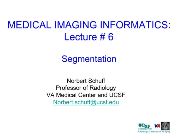 MEDICAL IMAGING INFORMATICS: Lecture 6 Segmentation