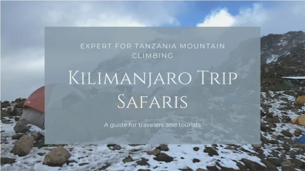 Well-organised Kilimanjaro Trekking Tours
