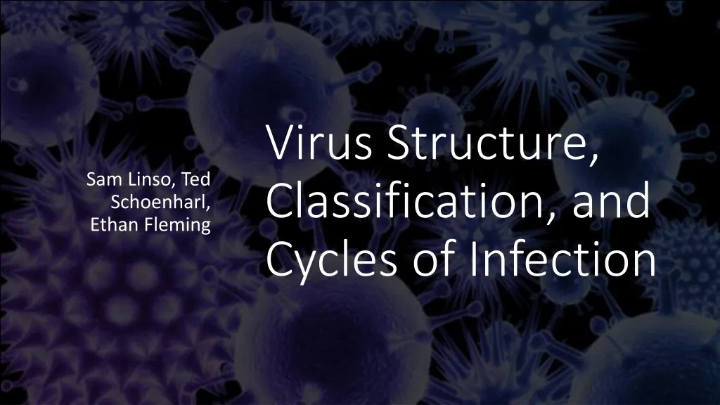 virus structure classification and cycles of infection