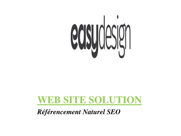 Web Site Solution | Agence de services Web de gamme complète | Conception Web personnalisée