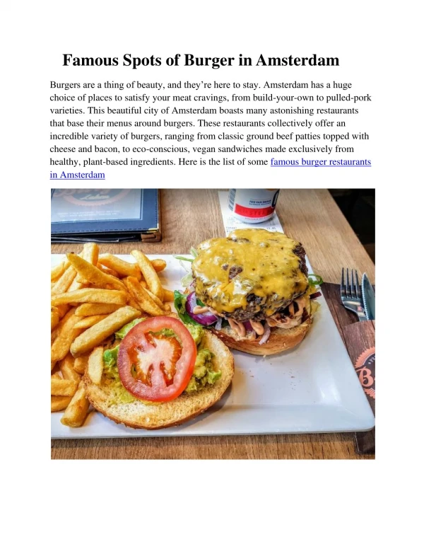 famous spots of burger in amsterdam