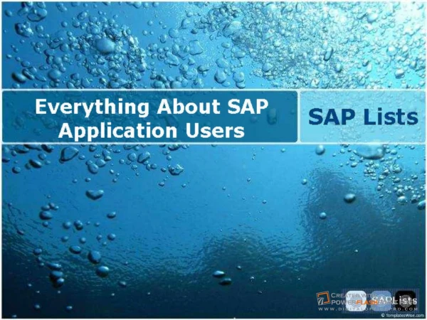 Everything About SAP Application Users