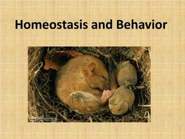 Homeostasis and Behavior