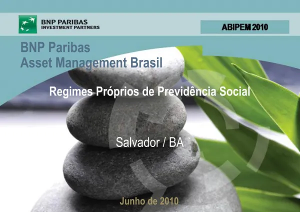 Regimes Pr prios de Previd ncia Social