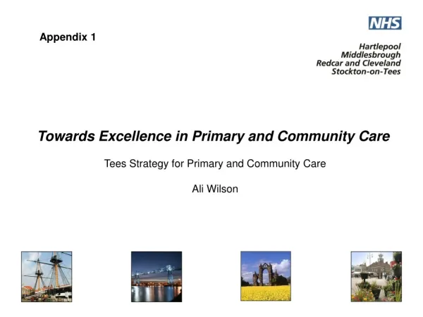 Towards Excellence in Primary and Community Care Tees Strategy for Primary and Community Care