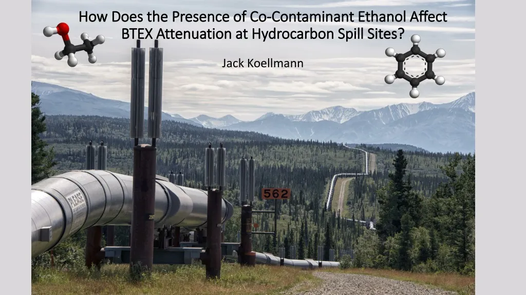 how does the presence of co contaminant ethanol affect btex attenuation at hydrocarbon spill sites