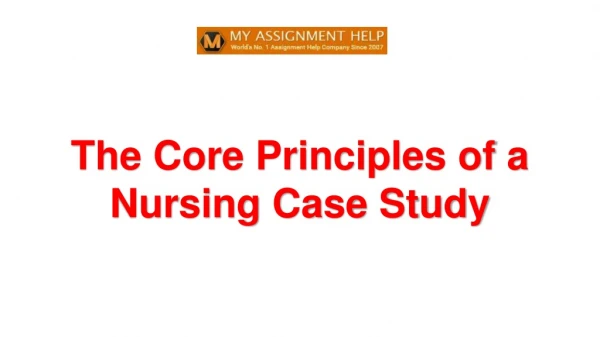 The Core Principles of a Nursing Case Study
