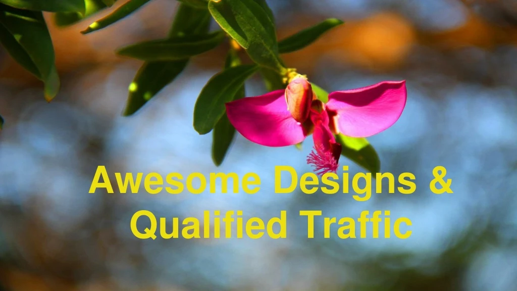 awesome designs qualified traffic