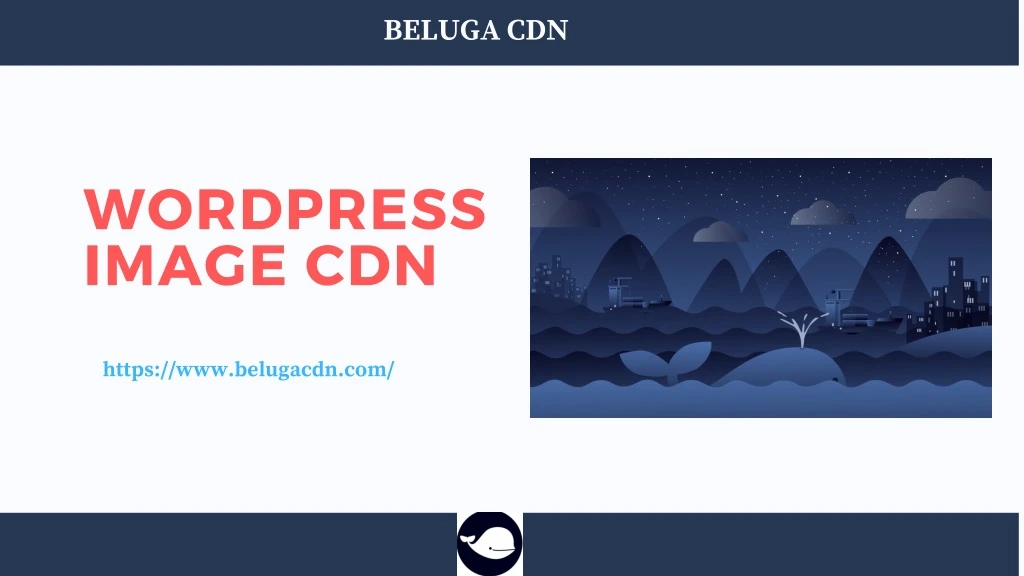 beluga cdn