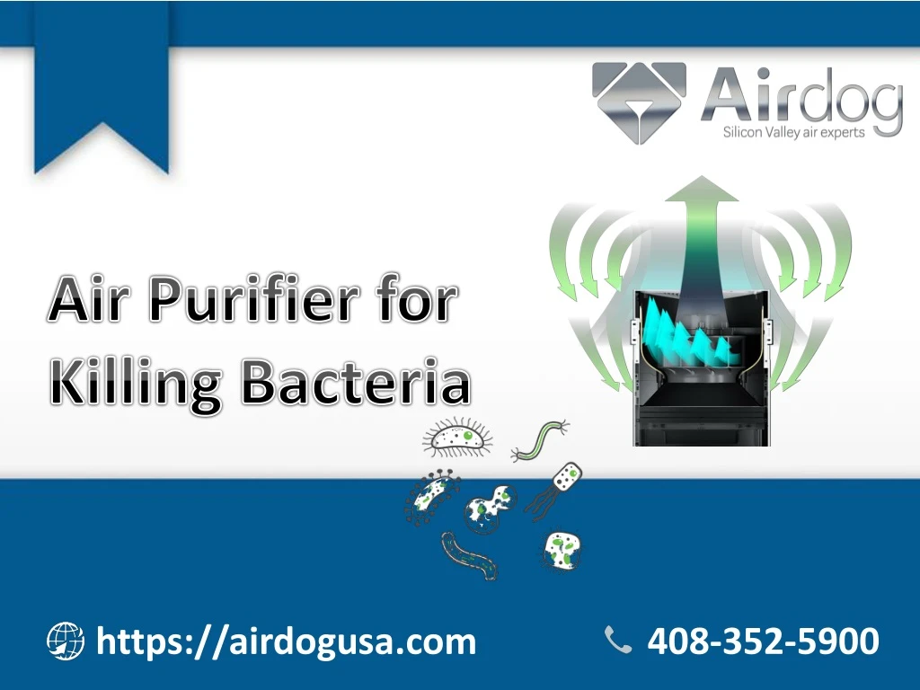 air purifier for killing bacteria
