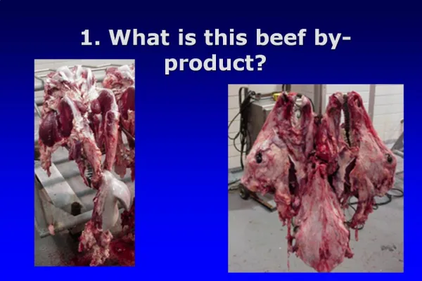 1. What is this beef by-product