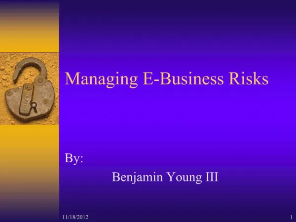 Managing E-Business Risks