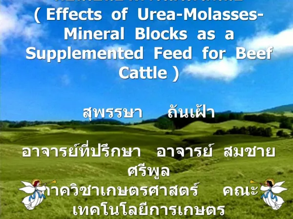 -- Effects of Urea-Molasses-Mineral Blocks as a Supplemented Feed for Beef Cattle