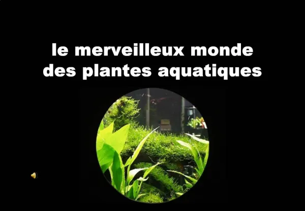 Le merveilleux monde des plantes aquatiques