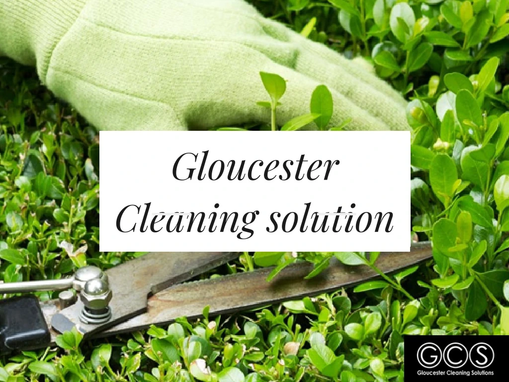 gloucester cleaning solution