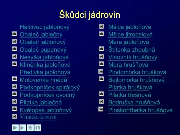 kudci j drovin