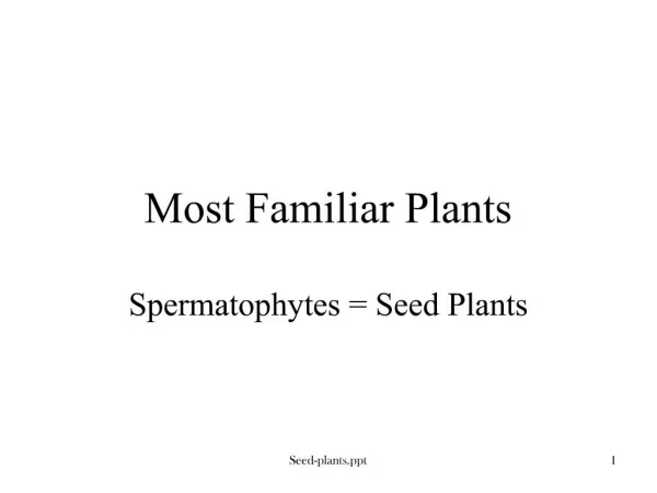 Most Familiar Plants
