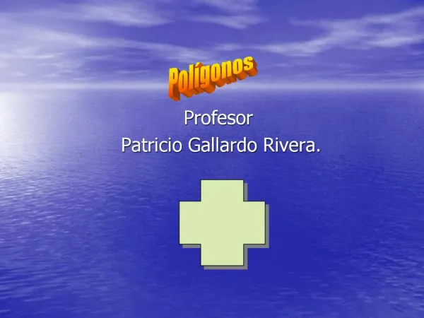 Profesor Patricio Gallardo Rivera.