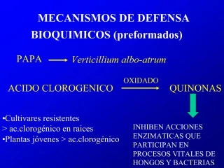MECANISMOS DE DEFENSA - slide 1