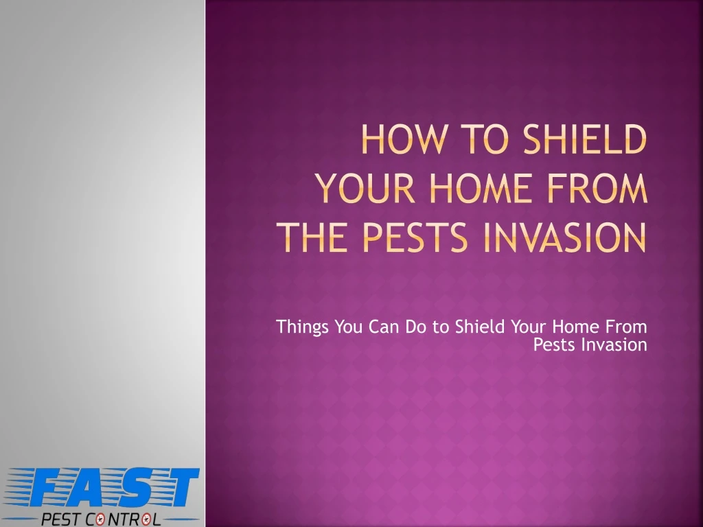 how to shield your home from the pests invasion