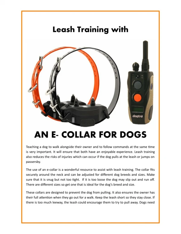 Leash Training with an E- Collar for Dogs