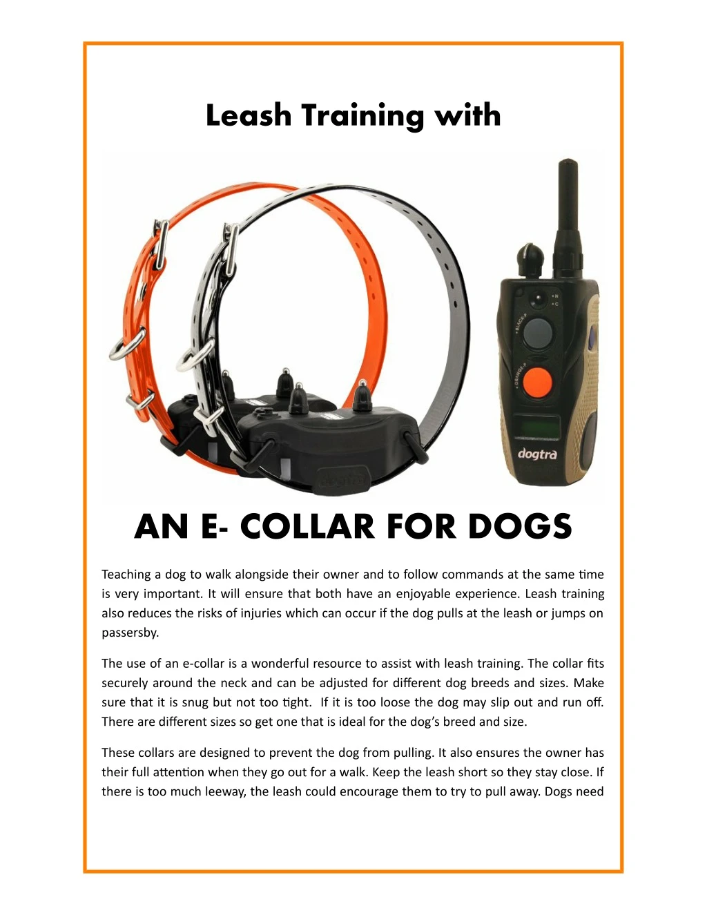 leash training with