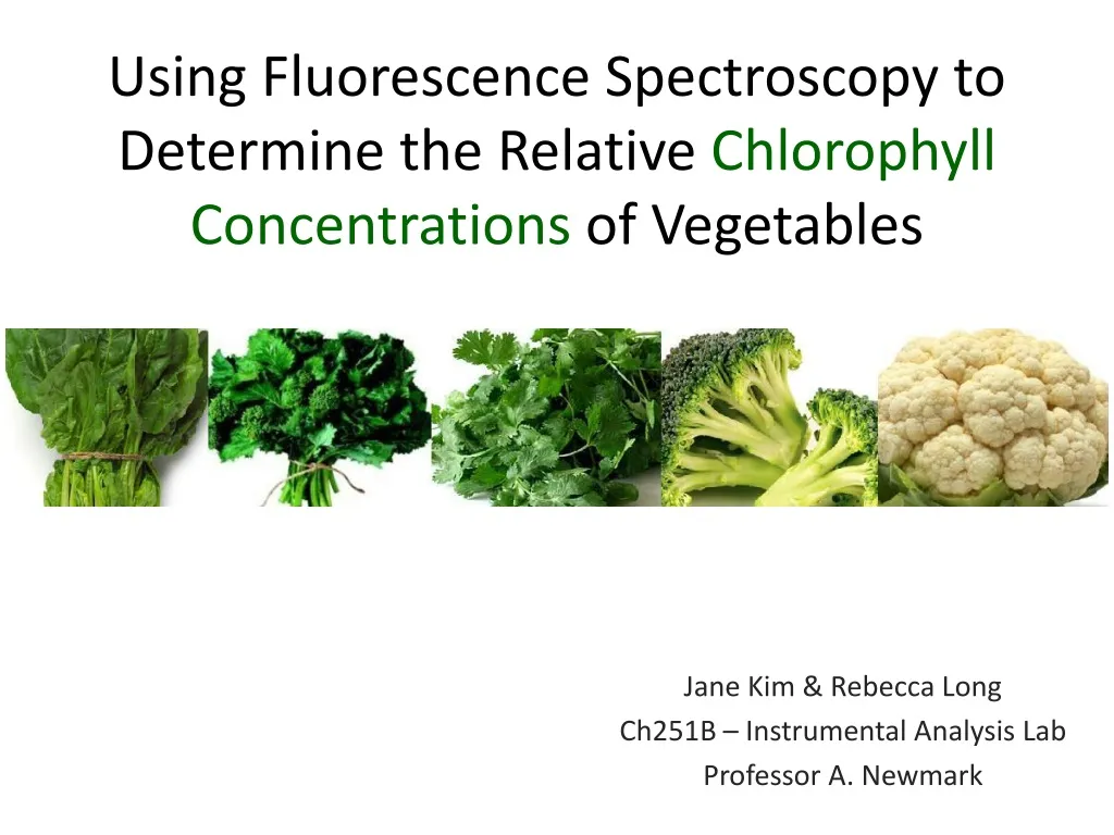 using fluorescence spectroscopy to determine the relative chlorophyll concentrations of vegetables