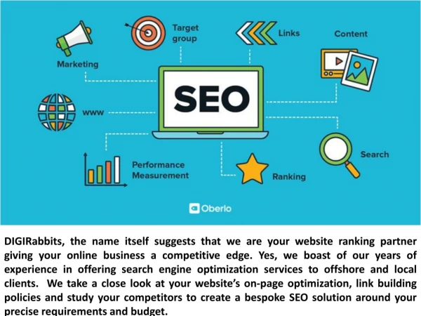 Search Engine Optimization & Digirabbits