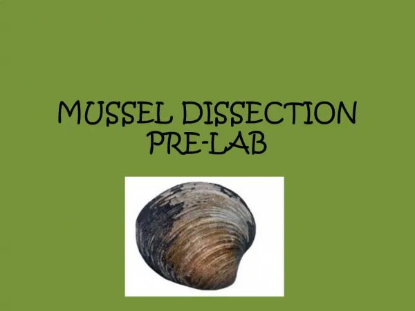 MUSSEL DISSECTION PRE-LAB