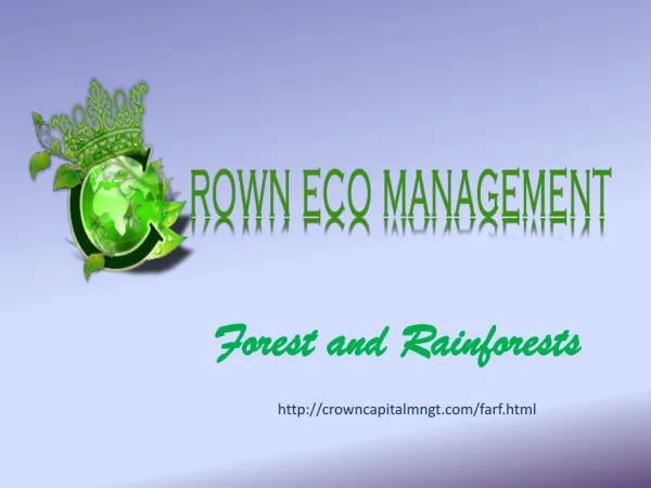 Crown Capital Eco Management Jakarta Indonesia: Forest and